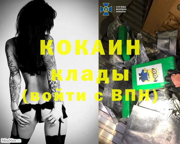 спайс Магас