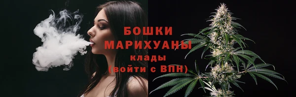 спайс Магас