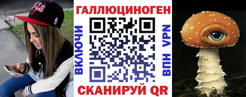 Галлюциногенные грибы Psilocybe  Борзя 