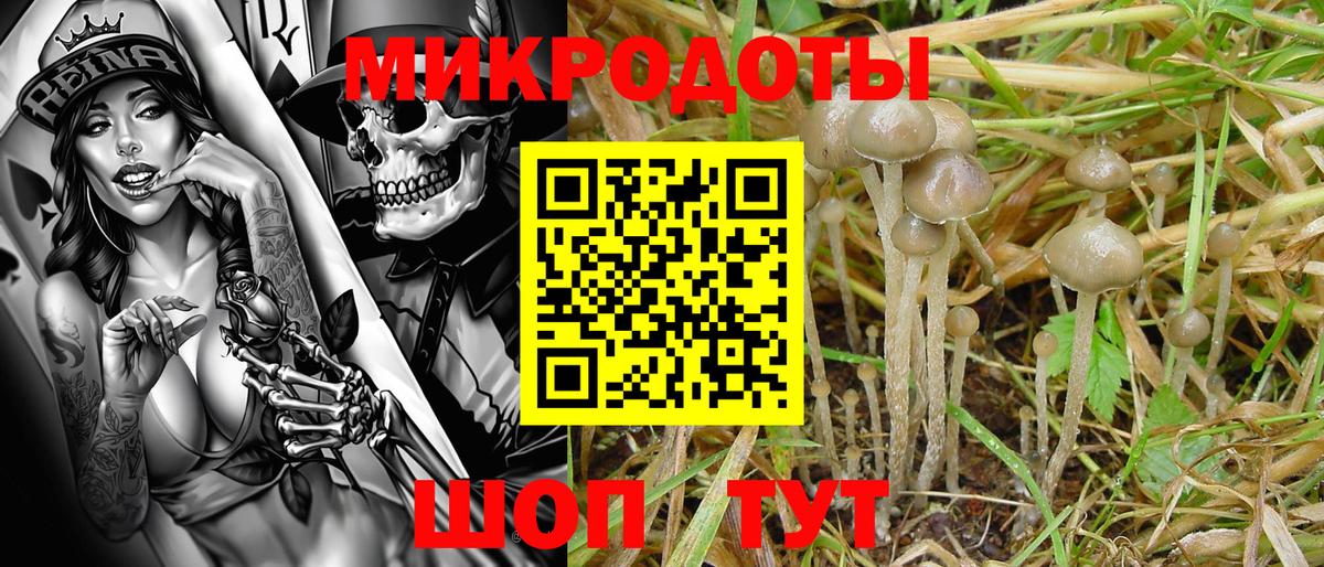 Галлюциногенные грибы MAGIC MUSHROOMS Борзя
